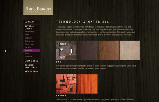 Website layout of Anna Barons